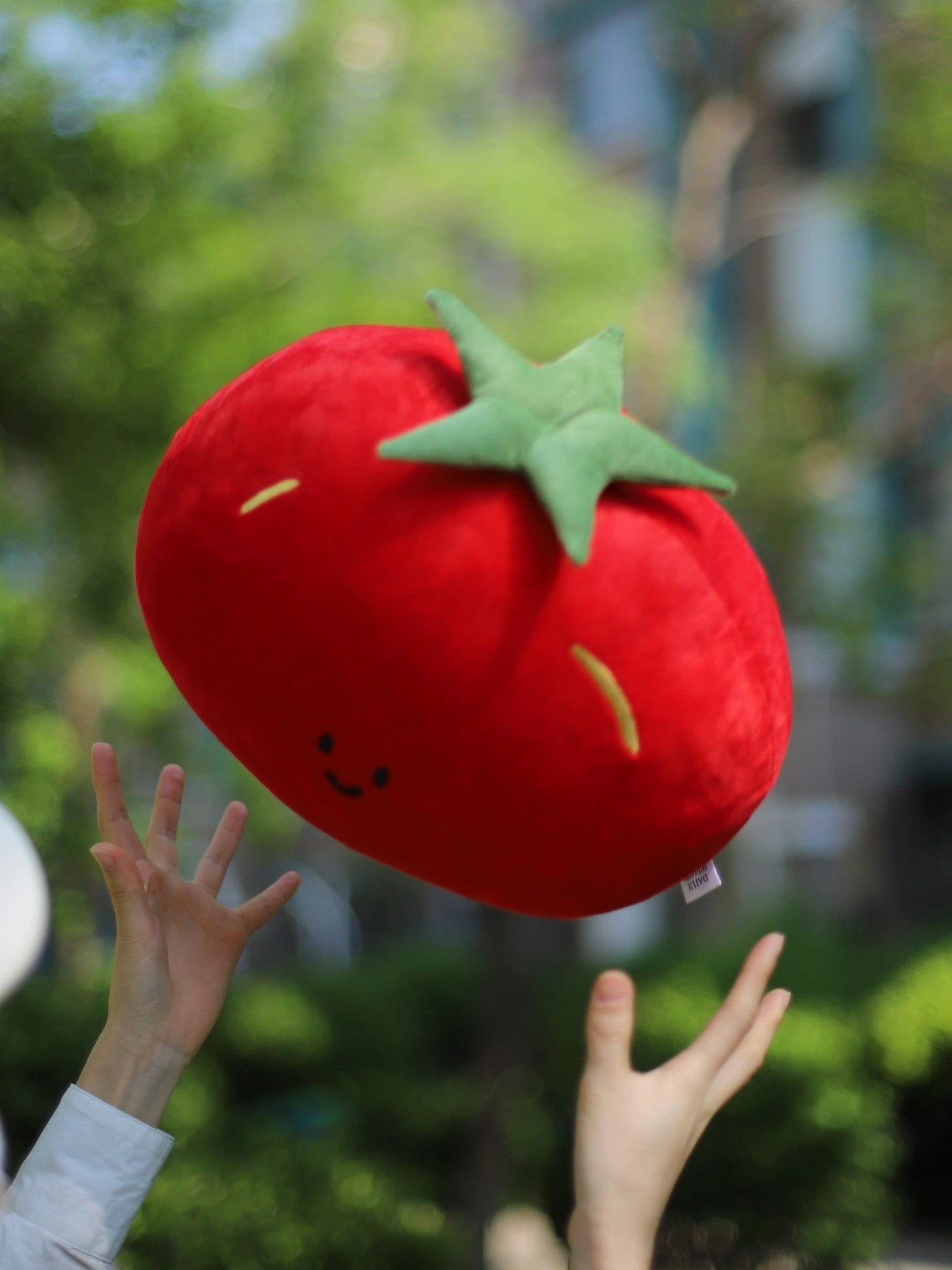 Plush tomato toy held by hands with a blurred green outdoor background