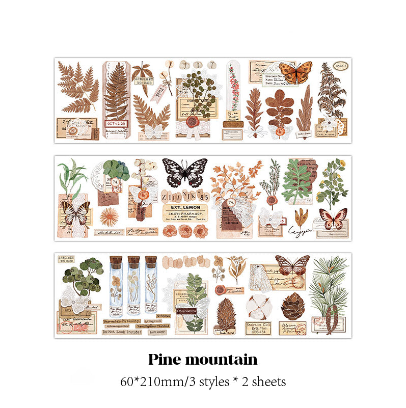 PaperMore | Mountain Plant