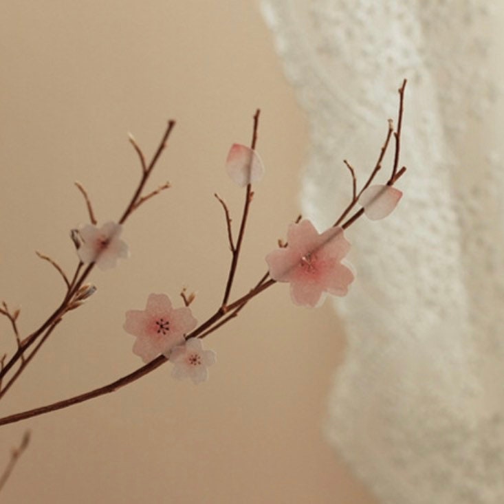 Suatelier |Blossom Day